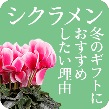 EB^[t[MtgEv[gW2025 VNW