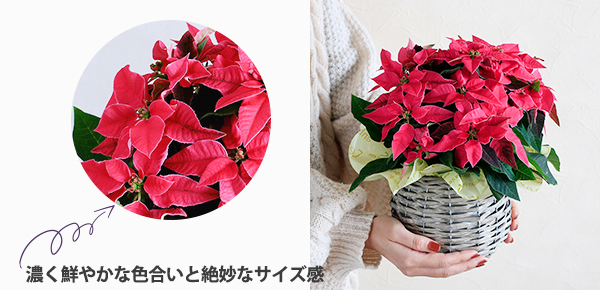 AuvZ`A@[WṽsbNAbv|Cg