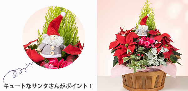 񂹔uT^̃NX}XK[fṽsbNAbv|Cg