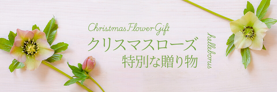 EB^[t[MtgEv[gW2025CrWA摜