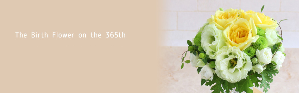 THE BIRTH FLOWER ON THE 365th@8̒aԂƉԌt