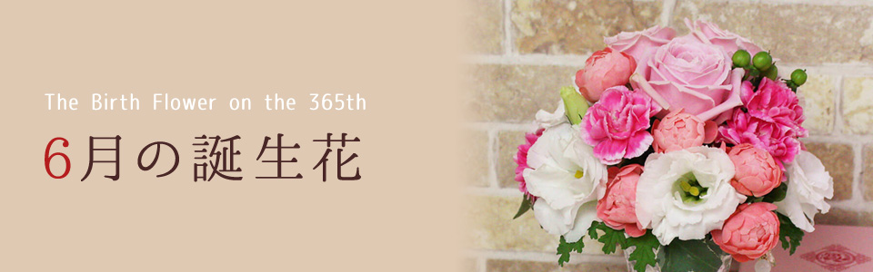 THE BIRTH FLOWER ON THE 365th　6月の花言葉