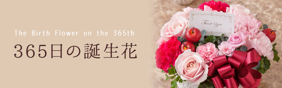 365日の誕生花・花言葉辞典