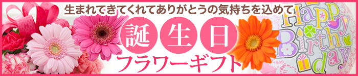 �a�����v���[���g�E�M�t�g