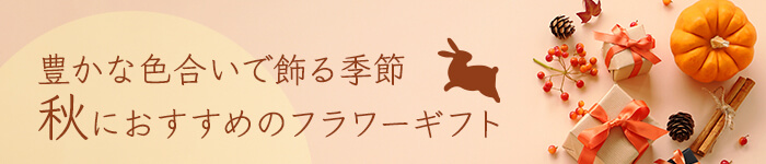 H̉ԓW