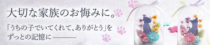  ����������l�R�����A�y�b�g�̂�����݂�