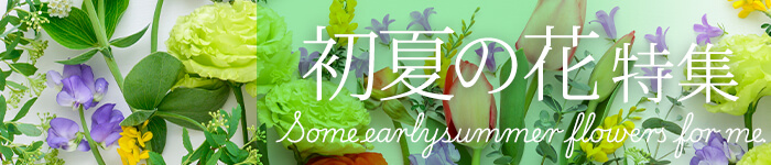 ���Ẳԓ��W