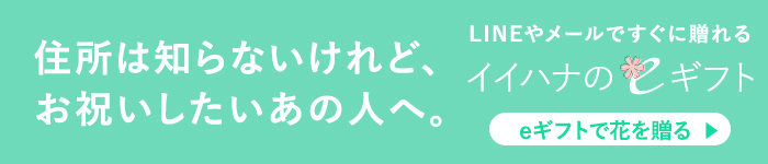 【住所は知らないけれど、お祝いしたいあの人へ】イイハナのeギフト
