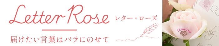 ���^�[���[�Y