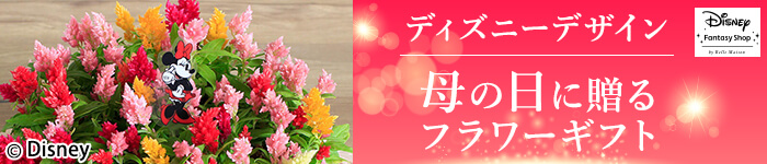 ��̓� �v���[���g�E�M�t�g���W 2026 �f�B�Y�j�[�f�U�C��