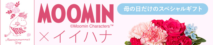 ��̓� �v���[���g�E�M�t�g���W 2026 MOOMIN�~�C�C�n�i