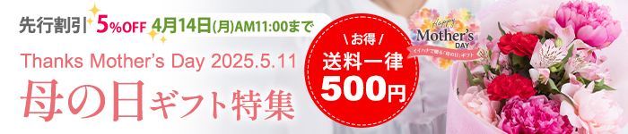 母の日花ギフト・プレゼント特集2025